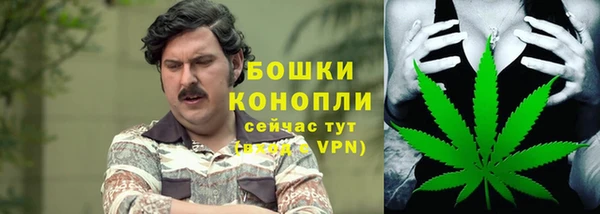 амф Надым
