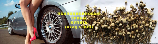 амф Надым