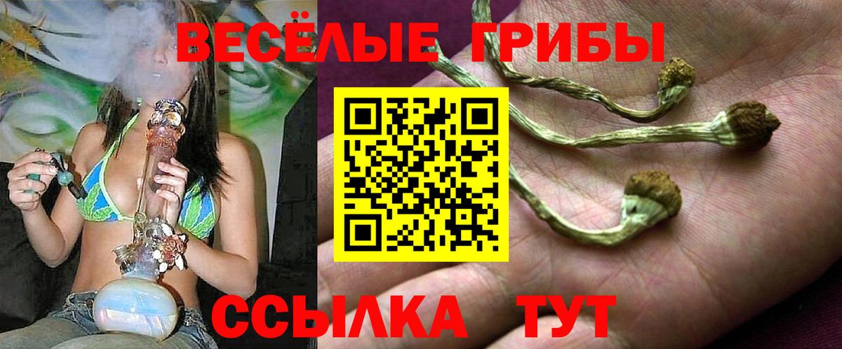 Истра  Галлюциногенные грибы MAGIC MUSHROOMS  Вход с VPN  Галлюциногенные грибы Cubensis 