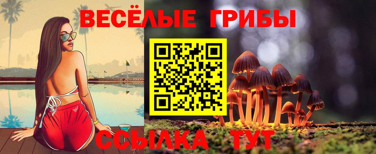 Галлюциногенные грибы Psilocybe Истра