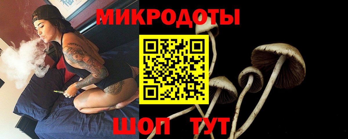Галлюциногенные грибы GOLDEN TEACHER  Истра 