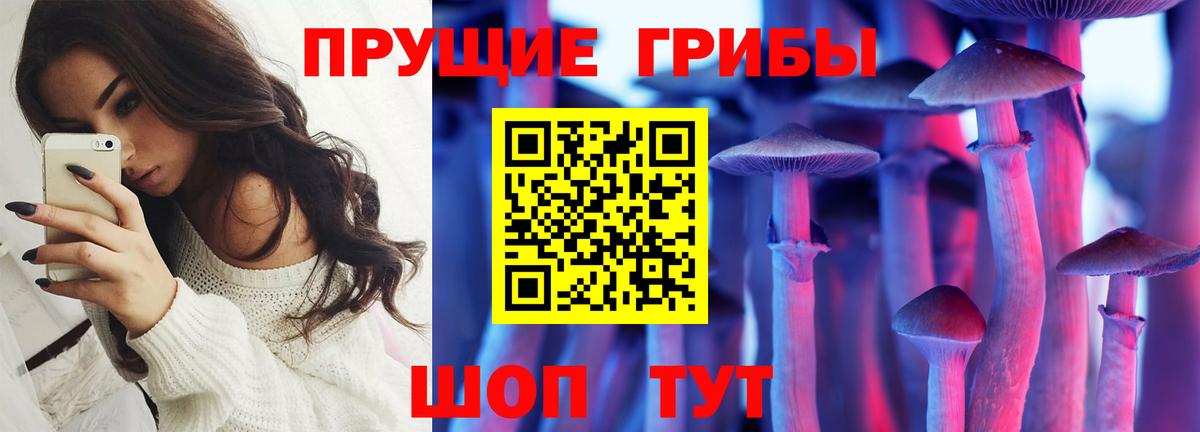 Псилоцибиновые грибы Psilocybine cubensis Истра
